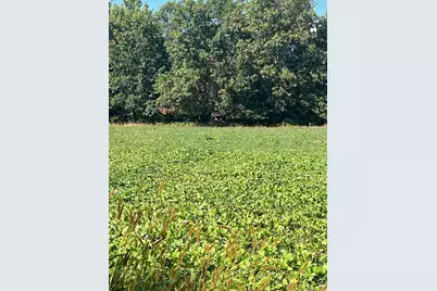 000  Bush Rd, Melrose, WI 54642 - Photo 48