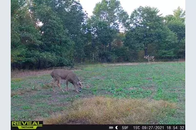 000  Bush Rd, Melrose, WI 54642 - Photo 26