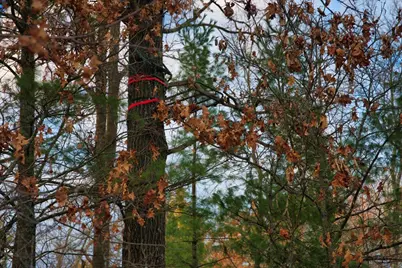 000  Bush Rd, Melrose, WI 54642 - Photo 20