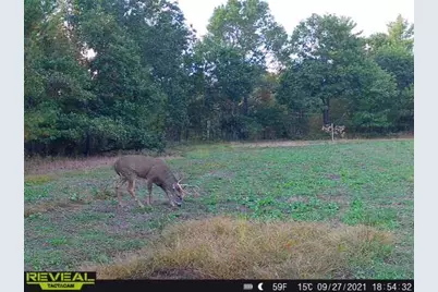 000  Bush Rd, Melrose, WI 54642 - Photo 18