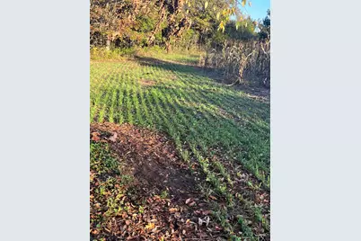 000  Bush Rd, Melrose, WI 54642 - Photo 8