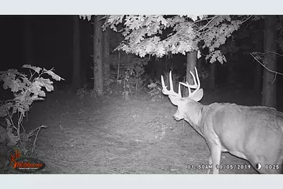 000  Bush Rd, Melrose, WI 54642 - Photo 44