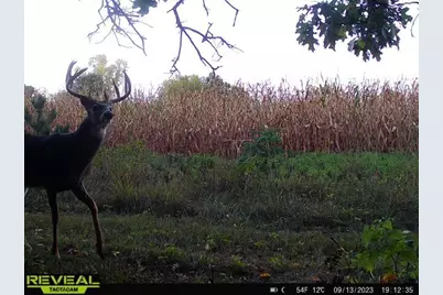 000  Bush Rd, Melrose, WI 54642 - Photo 28