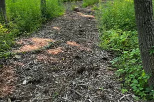 13737 N Lake Shore Dr, Mequon, WI 53097 - Photo 46