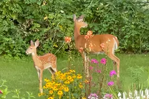 2844 S 132nd St, New Berlin, WI 53151 - Photo 68