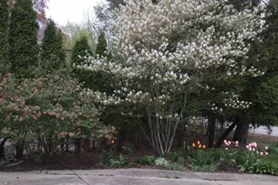 8307 N Greenvale Rd, Fox Point, WI 53217 - Photo 10