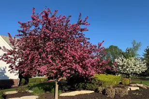 1810 E Bristlecone Dr, Hartland, WI 53029 - Photo 62