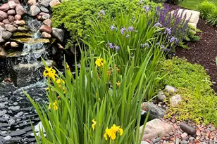 1810 E Bristlecone Dr, Hartland, WI 53029 - Photo 72