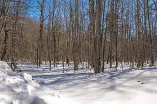 7956 N Dixon Ave, Hayward, WI 54843 - Photo 24