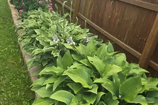 7101 S Countryside Dr, Franklin, WI 53132 - Photo 34