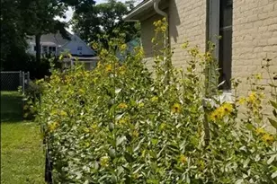 714 6th St, La Crosse, WI 54601 - Photo 22