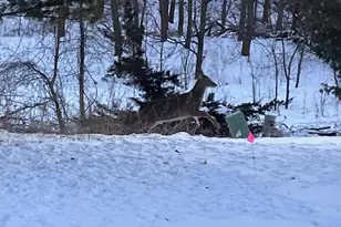 3131 Madison St, Waukesha, WI 53188 - Photo 64