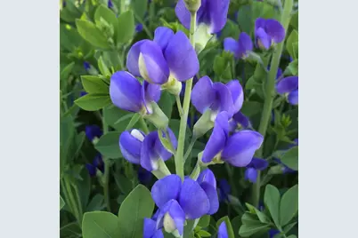 7953  Chapel Hill Ct, Franklin, WI 53132 - Photo 38