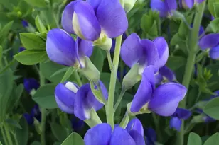 7953 Chapel Hill Ct, Franklin, WI 53132 - Photo 38