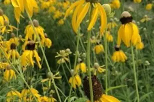 7953 Chapel Hill Ct, Franklin, WI 53132 - Photo 42