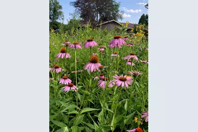 7953  Chapel Hill Ct, Franklin, WI 53132 - Photo 40