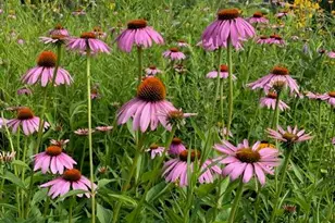 7953 Chapel Hill Ct, Franklin, WI 53132 - Photo 40