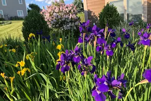 N60W27257 Trappers Run, Merton, WI 53089 - Photo 48