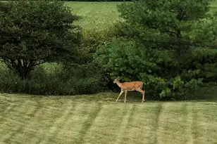 N60W27257 Trappers Run, Merton, WI 53089 - Photo 58