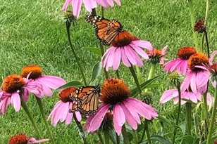 N60W27257 Trappers Run, Merton, WI 53089 - Photo 56