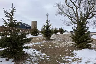 9207 Middle Rd, Manitowoc Rapids, WI 54220 - Photo 30