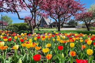 269 Fontana Blvd, Fontana, WI 53125 - Photo 1