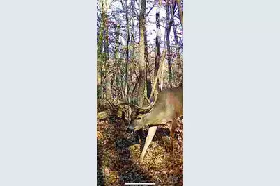 Parcel 3  Dd Hwy, Rockbridge, WI 53581 - Photo 6