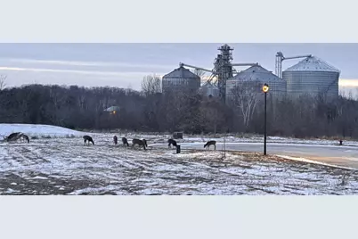 90  McDermott Ct, Random Lake, WI 53075 - Photo 28