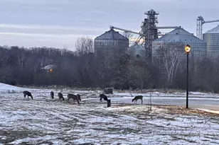 90 McDermott Ct, Random Lake, WI 53075 - Photo 28