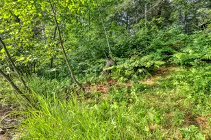 7006 W Rapids Rd, Lake Tomahawk, WI 54539 - Photo 24