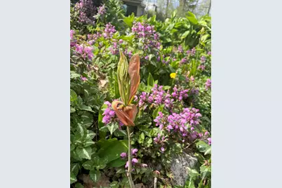 2100 S Cherrywood Ct, New Berlin, WI 53151 - Photo 46