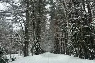 2550 Columbus Rd, Eagle River, WI 54521 - Photo 2