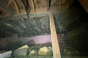 2550 Columbus Rd, Eagle River, WI 54521 - Photo 88