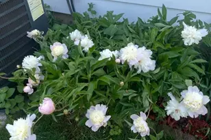 3351 S 66th St, Milwaukee, WI 53219 - Photo 38