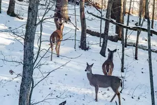 22450 Kodiak Rd, Clifton, WI 54638 - Photo 58