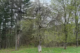 22450 Kodiak Rd, Clifton, WI 54638 - Photo 68