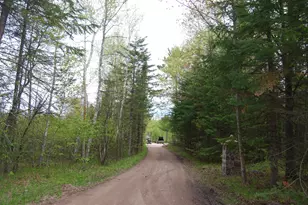 N11502 Nelson Rd, Athelstane, WI 54177 - Photo 6