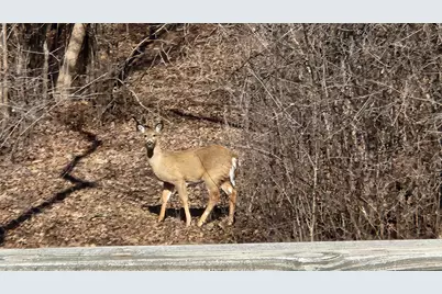 7030  Roosevelt Rd, Erin, WI 53027 - Photo 58