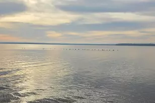 W9592 W Lake Dr Dr, Sumner, WI 53534 - Photo 1