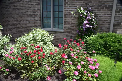 1240  Mary Hill Cir, Hartland, WI 53029 - Photo 42