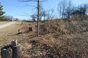 Lt0 W Main St, Twin Lakes, WI 53181 - Photo 10