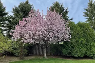 446 W Bridge Ct, Grafton, WI 53024 - Photo 50