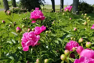 1615 Ulao Parkway, Grafton, WI 53024 - Photo 72