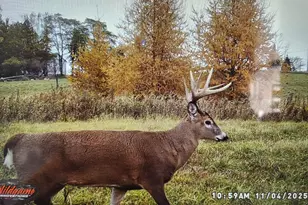 1615 Ulao Parkway, Grafton, WI 53024 - Photo 82