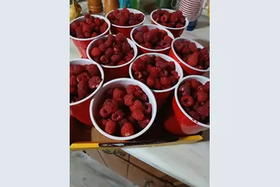 6372  Wildlife Rd, Addison, WI 53002 - Photo 42