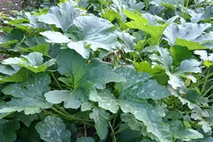 6372 Wildlife Rd, Addison, WI 53002 - Photo 38