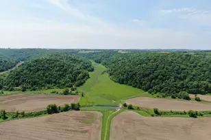 351 Acres County Road S -, Hickory Grove, WI 53805 - Photo 68