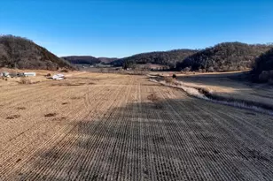 351 Acres County Road S -, Hickory Grove, WI 53805 - Photo 20