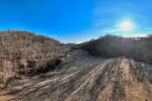 351 Acres County Road S -, Hickory Grove, WI 53805 - Photo 14