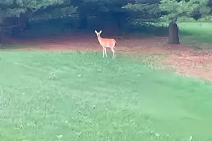 S43W33485 Edwards Dr, Genesee, WI 53118 - Photo 76